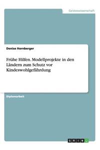 Frühe Hilfen. Modellprojekte in den Ländern zum Schutz vor Kindeswohlgefährdung