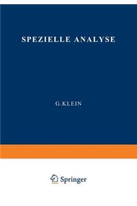 Spezielle Analyse