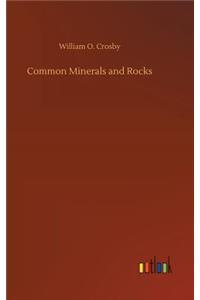 Common Minerals and Rocks
