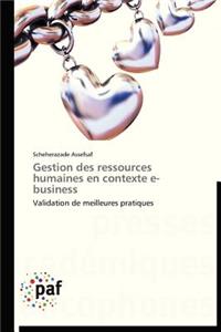 Gestion Des Ressources Humaines En Contexte E-Business