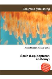 Scale (Lepidopteran Anatomy)