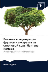 Влияние концентрации фруктов и экстракт