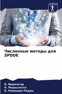 Численные методы для SPDDE