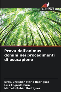 Prova dell'animus domini nei procedimenti di usucapione