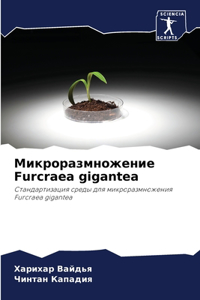 Микроразмножение Furcraea gigantea
