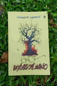 NERKKAZHCHAKAL( Malayalam Poems )