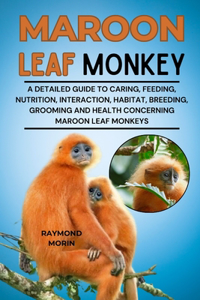 Maroon Leaf Monkey