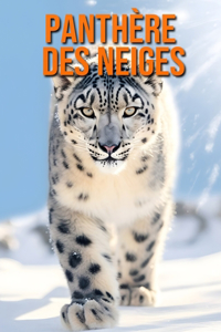 Panthère des Neiges