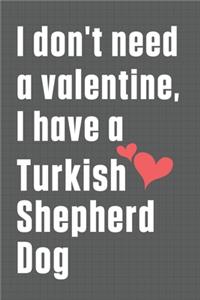 I don't need a valentine, I have a Turkish Shepherd Dog