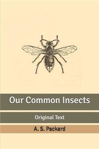 Our Common Insects