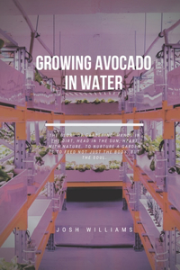 Growing Avocado In Water
