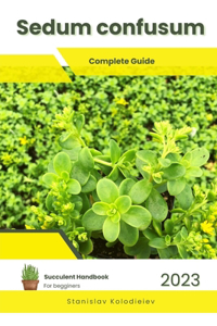 Sedum confusum