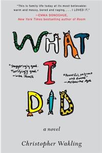 What I Did