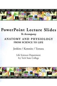 PowerPoint Lecture Slides to Accompany Anatomy and Physiology