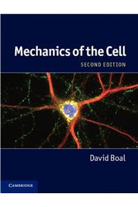 Mechanics of the Cell