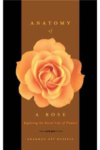 Anatomy Of A Rose