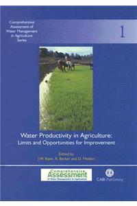 Water Productivity in Agriculture