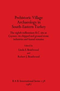 Prehistoric Village Archaeology in South-Eastern Turkey