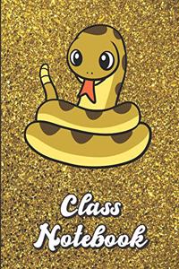 Class Notebook