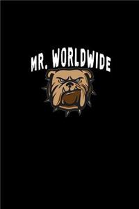 Mr. World Wide