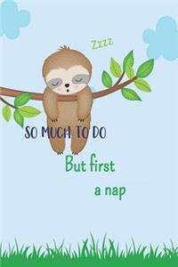 So Much to do But First a Nap