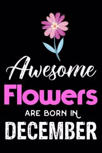 Awesome Flowers Are Born In December