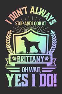 I Don't Always Stop and Look At Brittany OH Wait, Yes I Do!