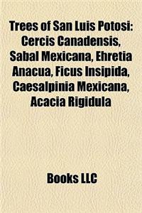 Trees of San Luis Potosi