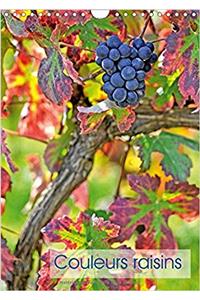 Couleurs Raisins 2018