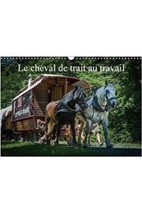 Le Cheval De Trait Au Travail 2018