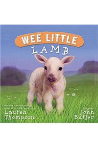 Wee Little Lamb