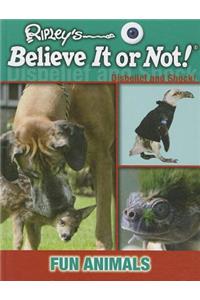 Fun Animals