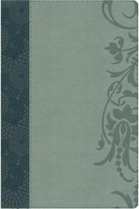 Study Bible for Women-HCSB-Large Print