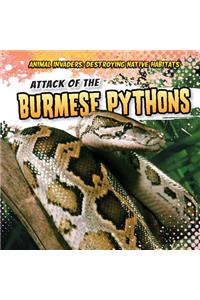 Attack of the Burmese Pythons