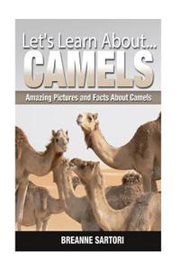 Camels