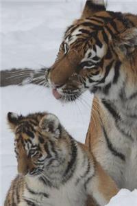 Tiger With Cub Journal