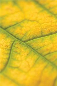 Autumn's Creep Notebook