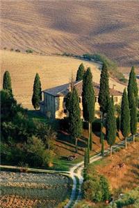 Field with Cypress Trees in Tuscany Italy Journal