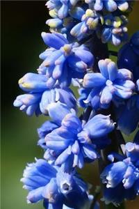 Blue Flowers Journal