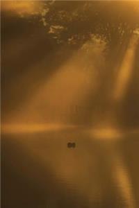 Sunlight Reflections On Golden Pond Journal