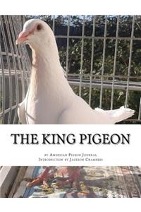 King Pigeon
