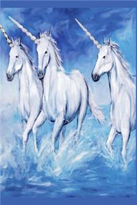 Unicorns Journal