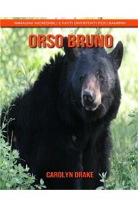 Orso bruno