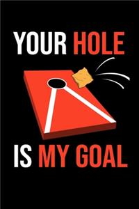 Your Hole Is My Goal