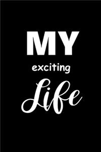 2020 Weekly Planner Funny Saying My Exciting Life 134 Pages