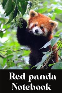 Red panda notebook