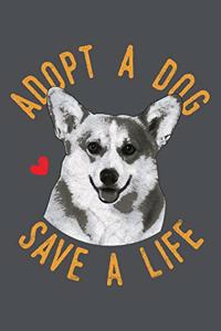 Adopt A Dog Save A Life