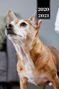 Chihuahua Dog Calendar Week Planner 2020 / 2021 - Proud Look