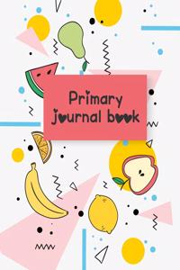 Primary journal book