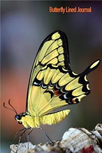 Butterfly Lined Journal